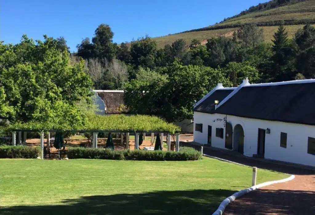 Cape Dutch wine estate building beside vineyards