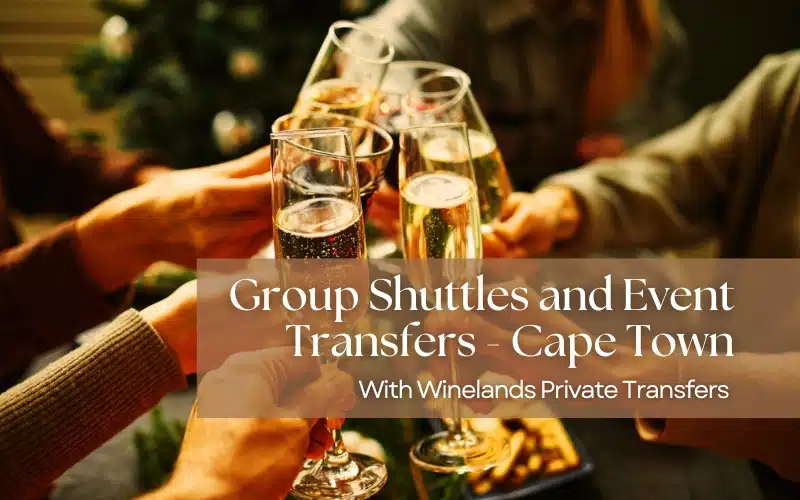 Group shuttles and event transfers illustration with guests toasting