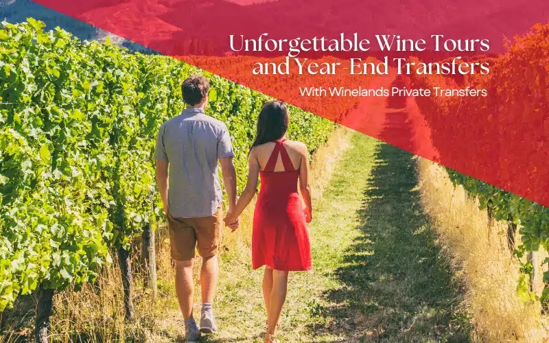 Wine tours and year-end transfers illustration with a couple walking through vineyards