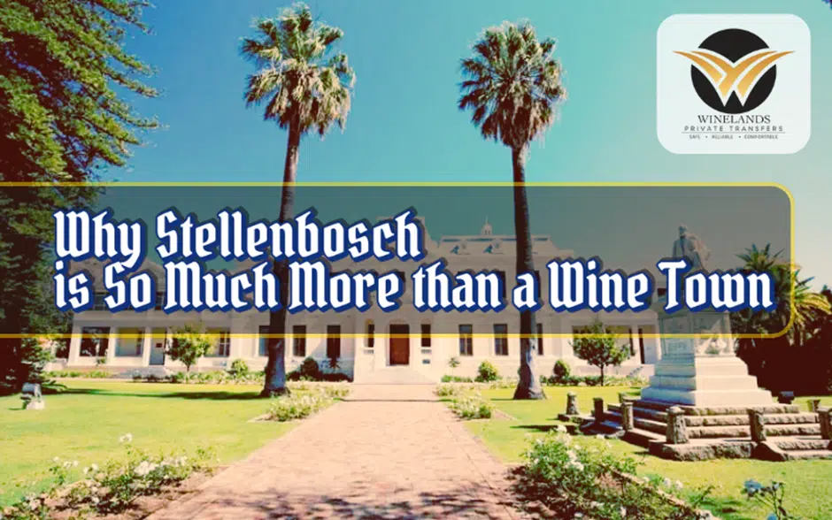 Stellenbosch travel illustration with historic buildings and palm trees