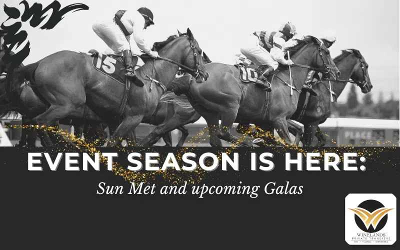 Sun Met and gala event-season illustration with racehorses