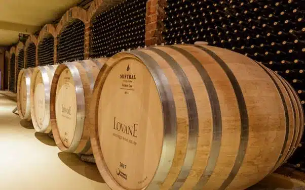Wine barrels in the L'Avenir wine cellar