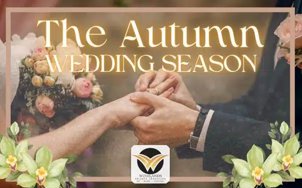 Autumn wedding season illustration with wedding rings and flowers